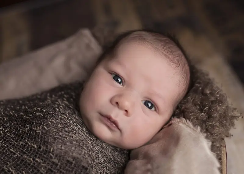 Baby DP 17