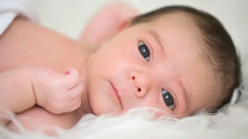 Baby DP 34