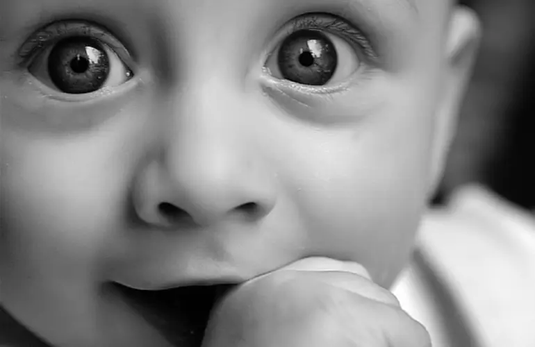 Baby DP 50