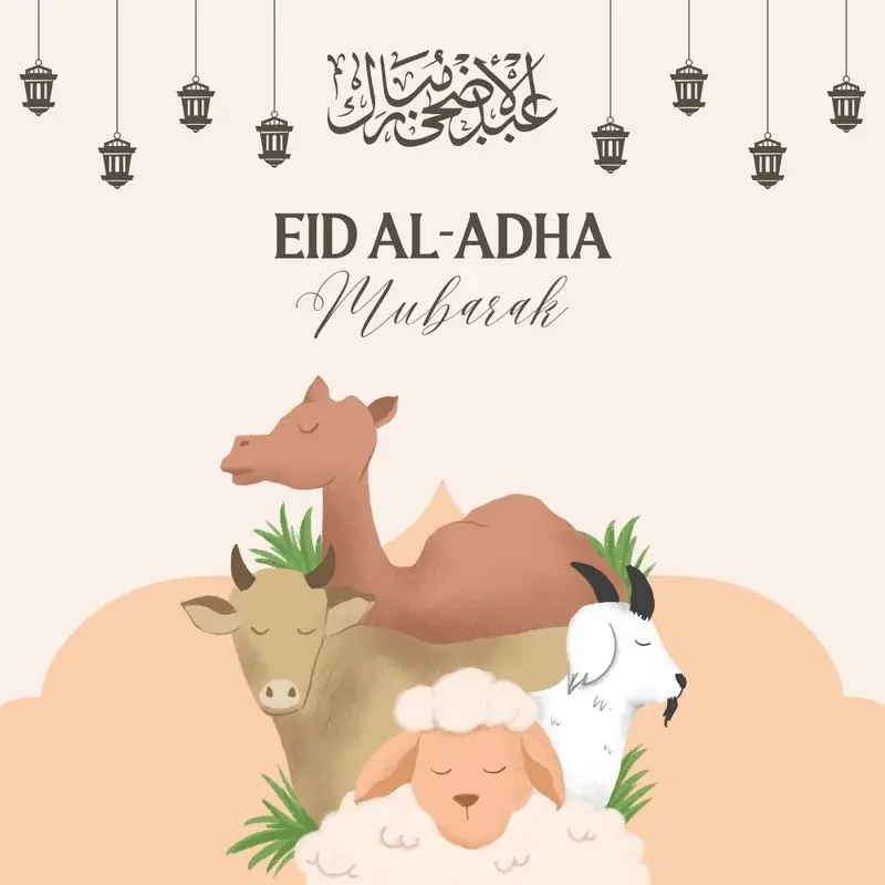 Eid DP 14